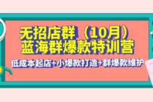 《淘宝无招店群·蓝海群爆款特训营》视频资料-百度云网盘下载