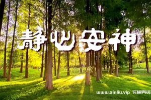 《养生音乐东西方歌曲合集》[MP3/11GB]云网盘下载