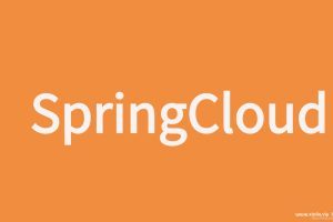 《SpringCloud教程》视频学习资料[MP4/7.39GB]百度云网盘下载