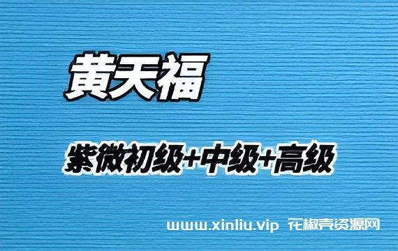 《黄天福紫微斗数初级中级高级视频合集》[FLV/38GB]百度云网盘下载，FLV视频格式，已做压缩处理，百度网盘下载后解压使用，文件大小38GB，目录见下文。