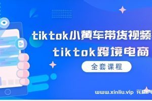 Tiktok跨境电商《小黄车带货视频教程》[MP4/3GB]夸克云网盘下载