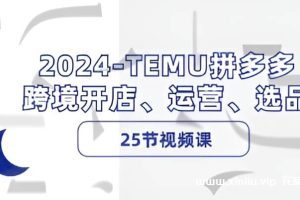 《最新TEMU拼多多 跨境开店、运营、选品》[MP4/3GB]夸克云网盘下载