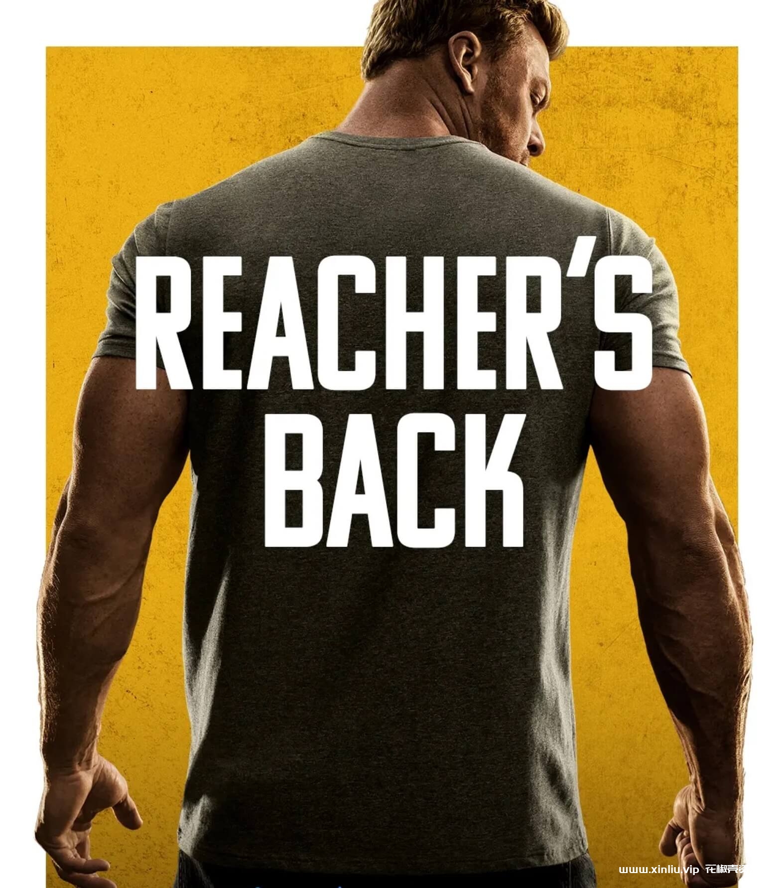 美剧《侠探杰克/Reacher》全1-2季4K超高清[MP4/167GB]云网盘下载，已做压缩处理，云网盘下载后解压使用，文件大小167GB。