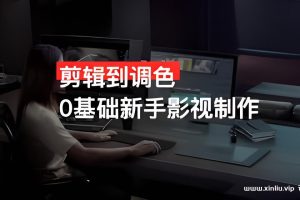 《剪辑到调色0基础新手影视制作》[MP4/3GB]云网盘下载